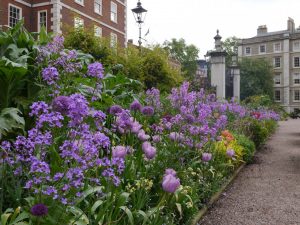 High border spring