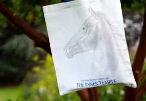 tote bag with pegaus image and blue handles