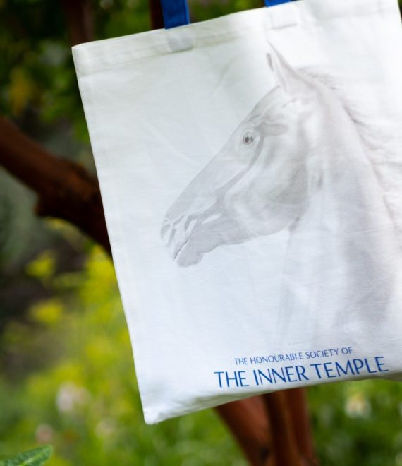 tote bag with pegaus image and blue handles