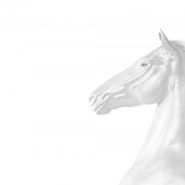 IT-Pegasus-Crop-Head-RGB
