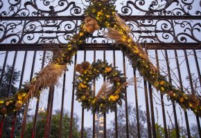 Garden Gates at Christmas