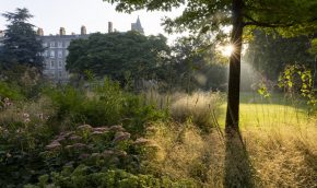 The Inner Temple garden at dawn