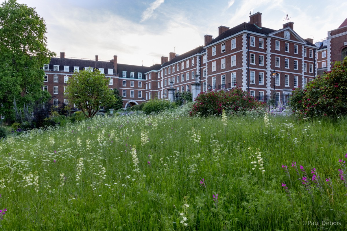 The Inner Temple Garden Inner Temple