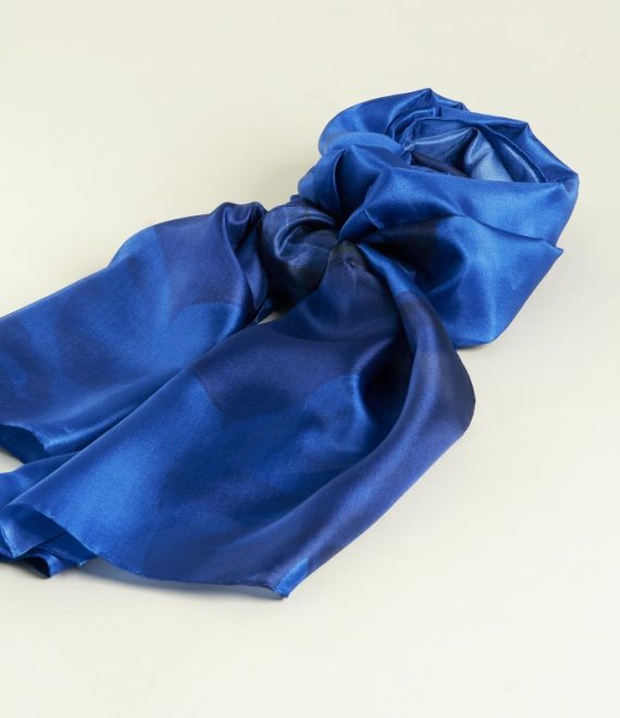 pegasus scarf_DSF8611-RAF_DxO_DeepPRIME