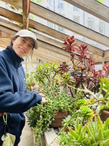 Person in a glass-roofed greenhouse tending to a collection of potted succulents. The person is wearing a light-coloured baseball cap and a dark fleece jacket, positioned beside a wooden bench crowded with plants of varying shapes and sizes. Bright green succulents fill the foreground, while tall dark-red aeonium rosettes rise above the display. Natural light streams through the wooden-framed glass roof, and a stone building is visible through the windows in the background.