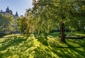 Inner Temple Garden