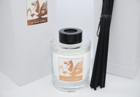 diffuser with display box and reeds