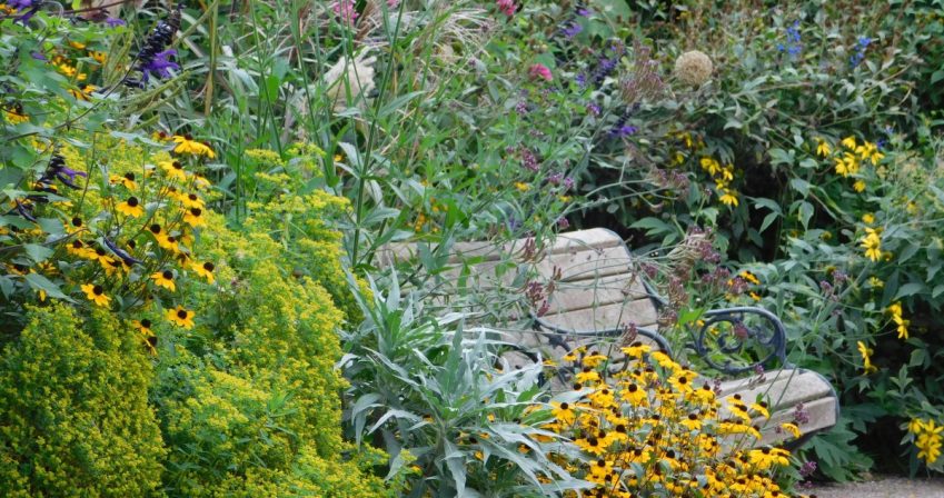 plants box image