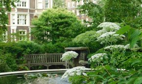 The Pond Garden in late spring