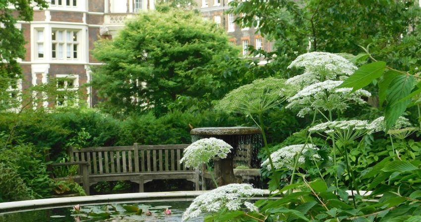 The Pond Garden in late spring