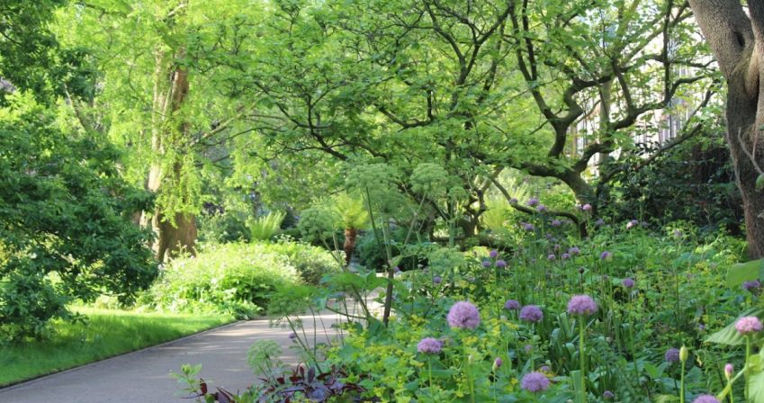 Shady border in late spring