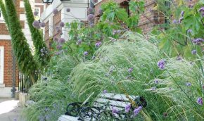 Stipa ichu and Allium ‘Summer Drummer’ at Hall