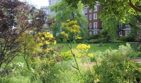 Mediterrenean borders in early spring