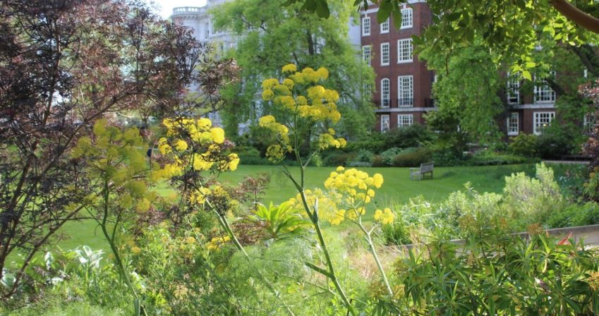Mediterrenean borders in early spring