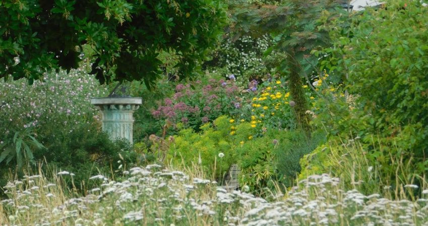 Looking through a meadow of wildflowers to a stone plinth sundial with trees and shrubs in the background