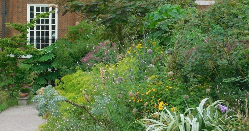 Highborder in mid summer