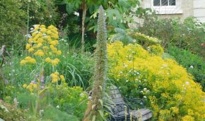 Layered planting in the Highborder