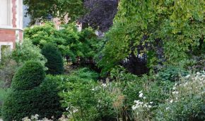 Woodland garden in autumn