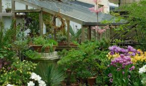 Greenhouse and Pot Display in spring