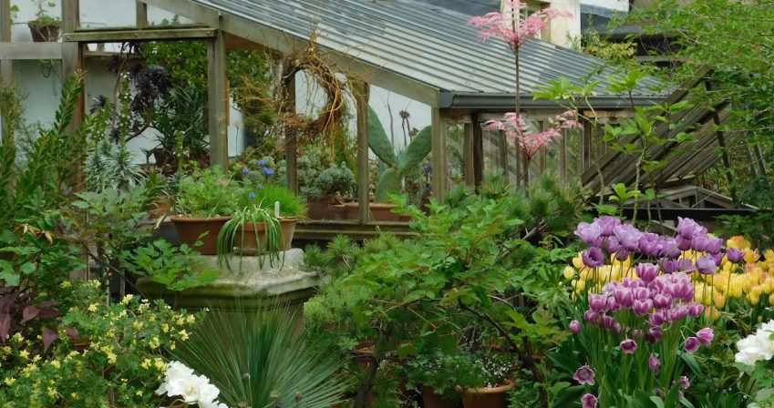 Greenhouse and Pot Display in spring