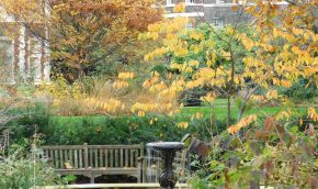 The Pond Garden in autumn