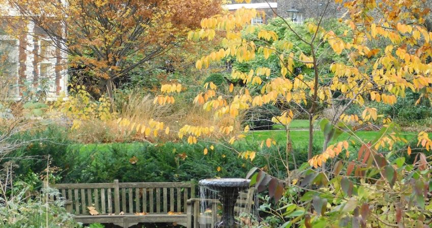 The Pond Garden in autumn