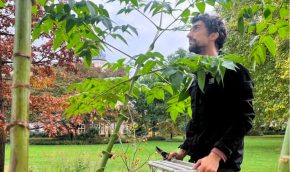 Clipping and pruning experiences cr