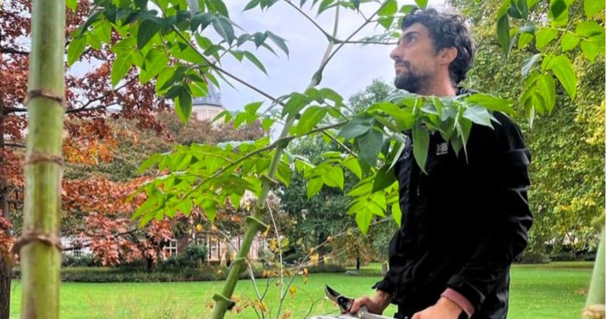 Clipping and pruning experiences cr