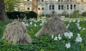Hay piles as habitat sancturies