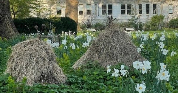 Hay piles as habitat sancturies