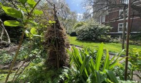 Layered habitat pile in the Peony Garden