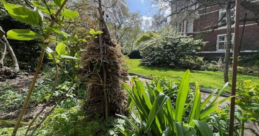 Layered habitat pile in the Peony Garden