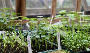 Learning propagation techniques