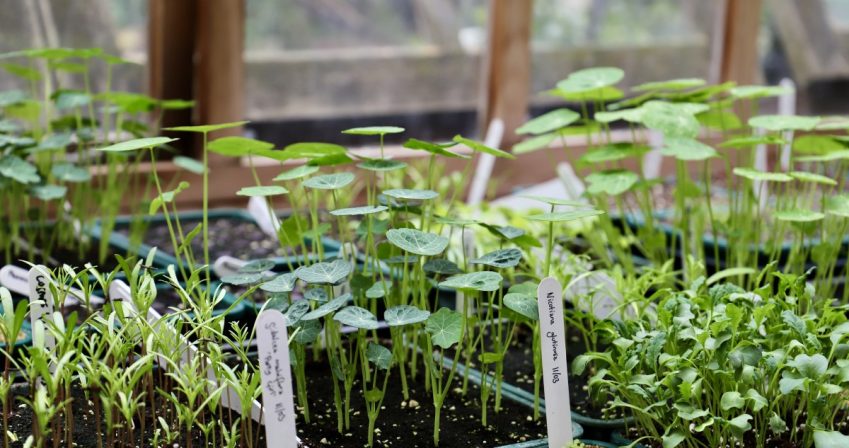 Learning propagation techniques