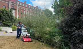Learning to use a scarifyer on the lawn before spreading meadow seed
