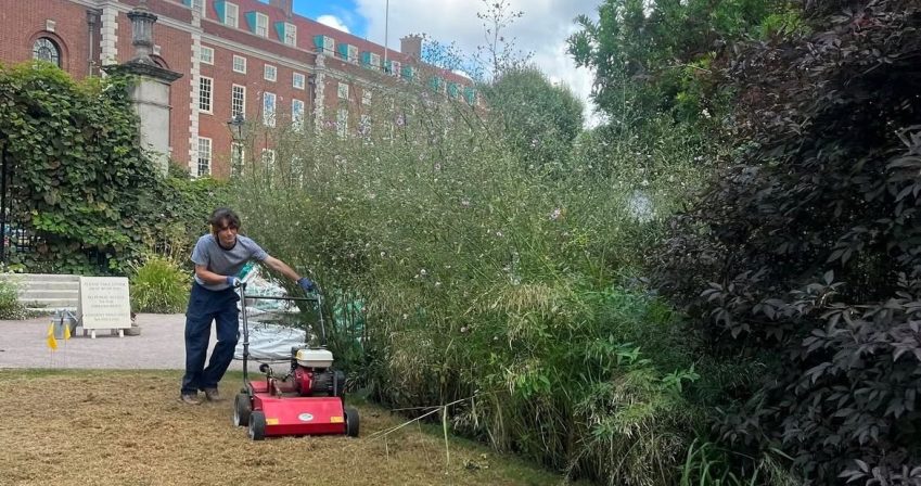 Learning to use a scarifyer on the lawn before spreading meadow seed