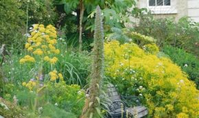 bench nestled into an overflowing flowering border