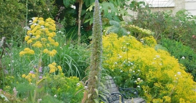bench nestled into an overflowing flowering border