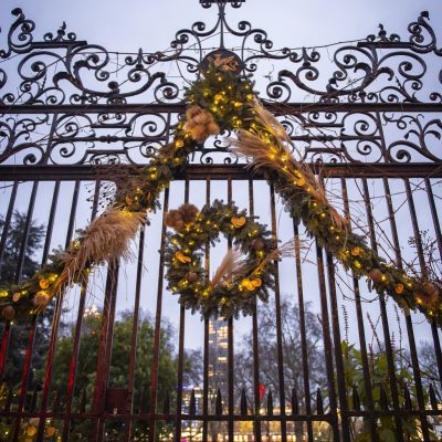 Garden Gates Christmas Card