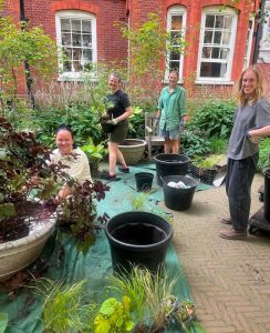Potting Shed