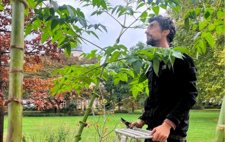 Clipping and pruning experiences