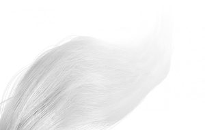 Inner Temple Pegasus, tail