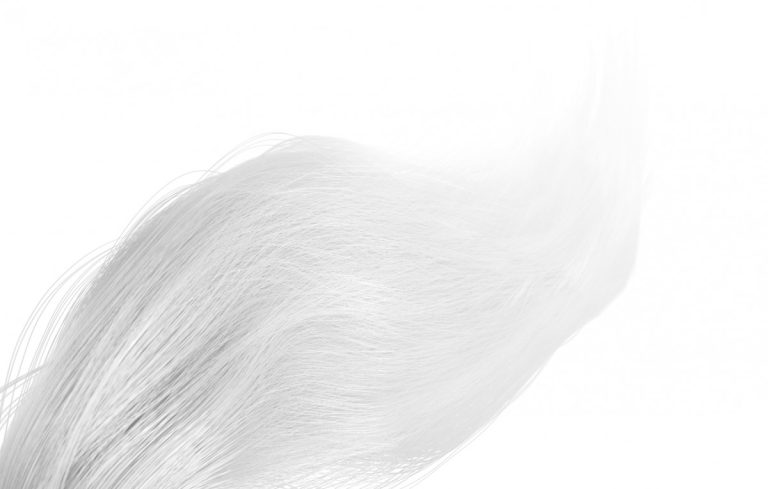 Inner Temple Pegasus, tail