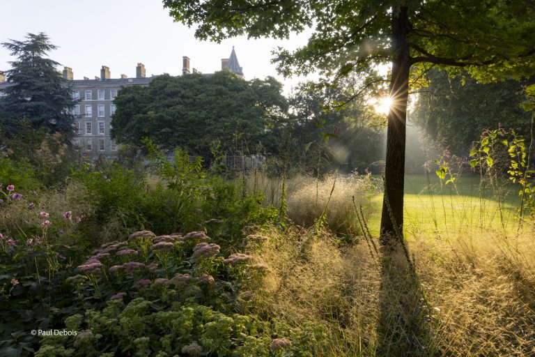 Sunlight streams through a large tree in a landscaped garden, illuminating tall golden grasses and flowering plants, with a historic stone building partially visible behind dense trees in the background.