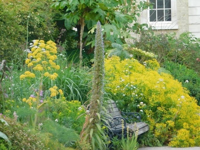Pollinator-friendly planting in the High Border