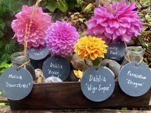 The trainee creates the plant table display