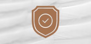 Safeguarding