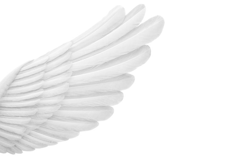 Wing